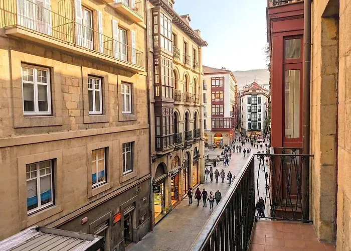 Basque Museum Séjour chez l'habitant Bilbao